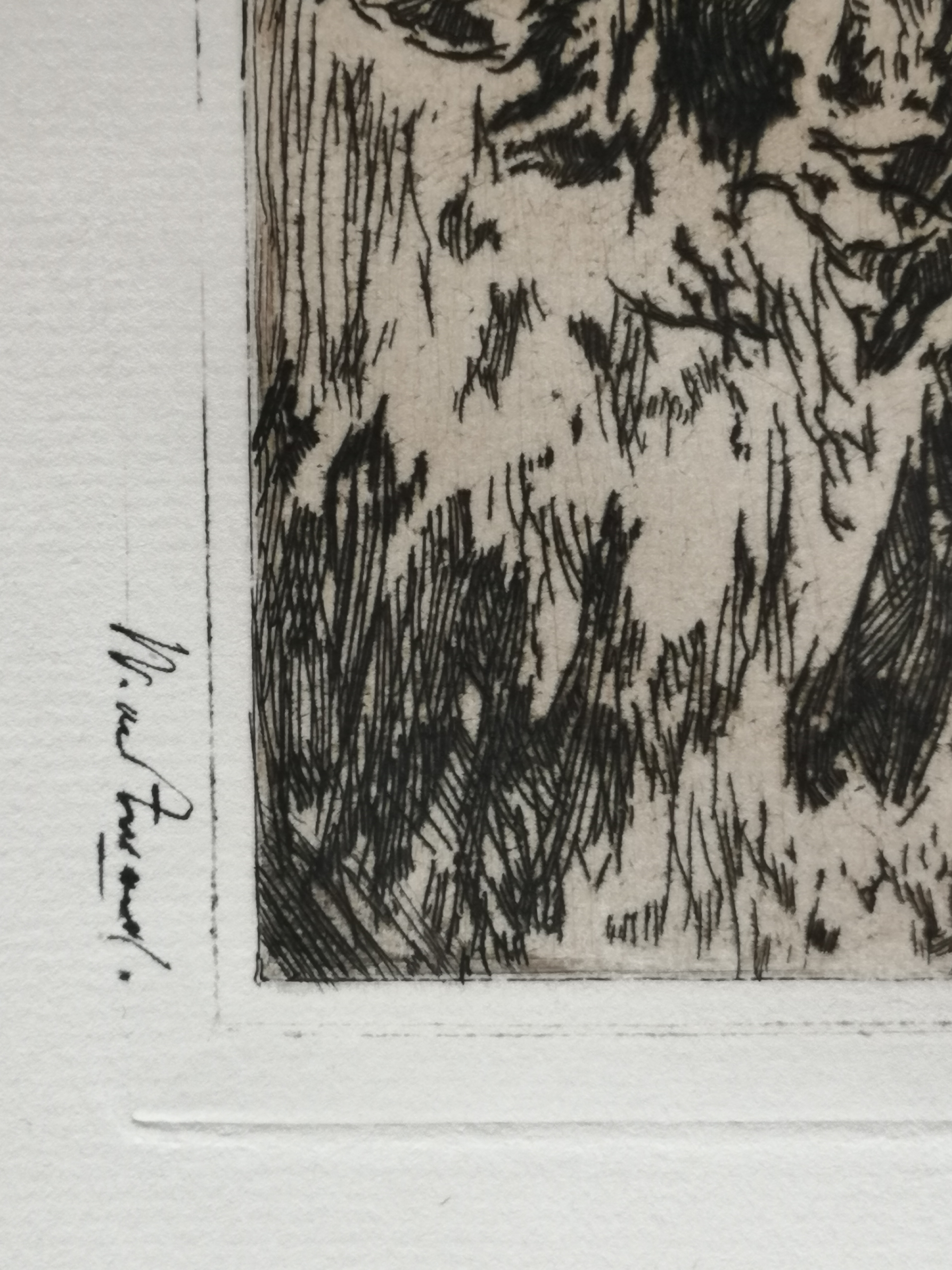 Willem de Zwart - Koeien onder bomen kopen? Bied vanaf 40!