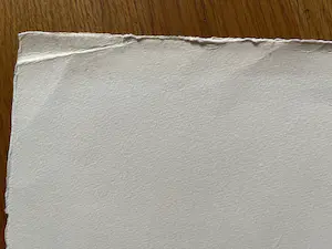 Jan Homan - FRIESLAND kopen? Bied vanaf 35!