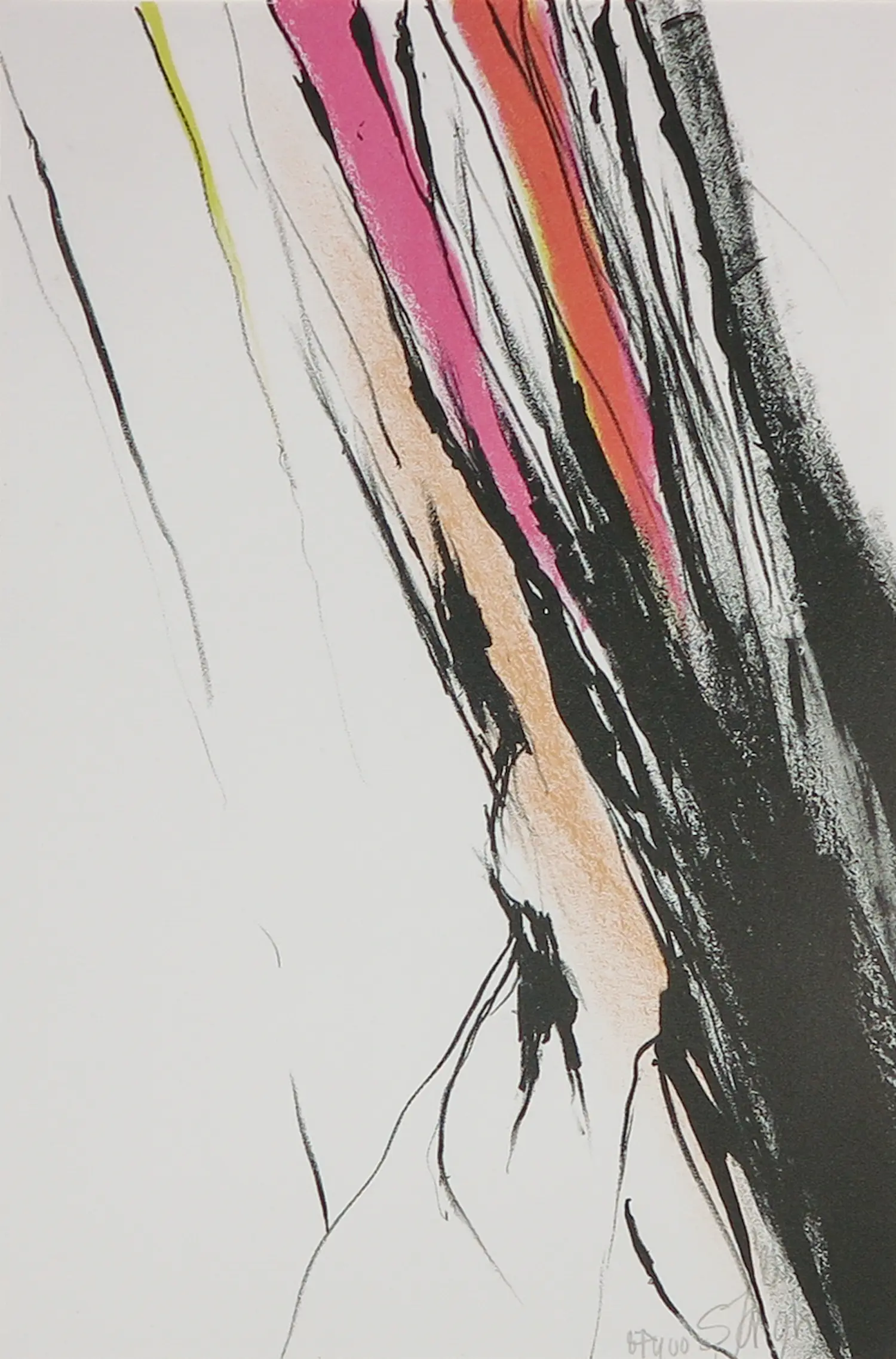 Sonja de Jongh (1964)