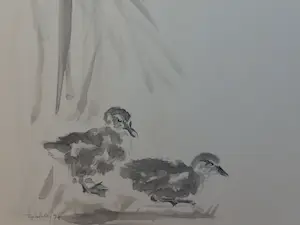 Andre Tigchelaar - eendjes kopen? Bied vanaf 74!