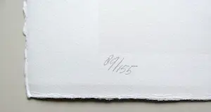 Klaas Gubbels - Verlegen Schaduwen kopen? Bied vanaf 75!