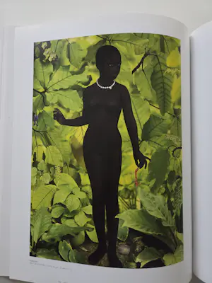 Ruud van Empel - Photoworks 1995-2010. kopen? Bied vanaf 89!