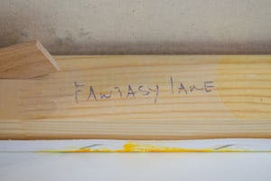 Gino Sauerbier - Fantasy lane kopen? Bied vanaf 1!