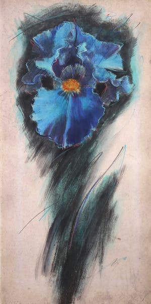 Thomas Aeffner - Gemengde druktechniek, Lily - Ingelijst kopen? Bied vanaf 20!