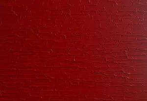 Bruno CANTAIS - Red Power kopen? Bied vanaf 450!