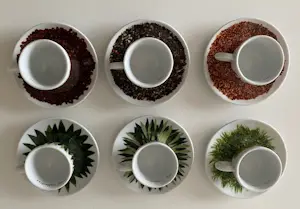 illy Art Collection - Illy Art collectie set 6espressokopjes Home of Texture Francis Ford Coppola 2000 kopen? Bied vanaf 89!