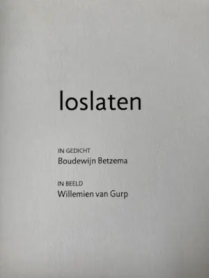 Willemien van Gurp - Loslaten kopen? Bied vanaf 20!