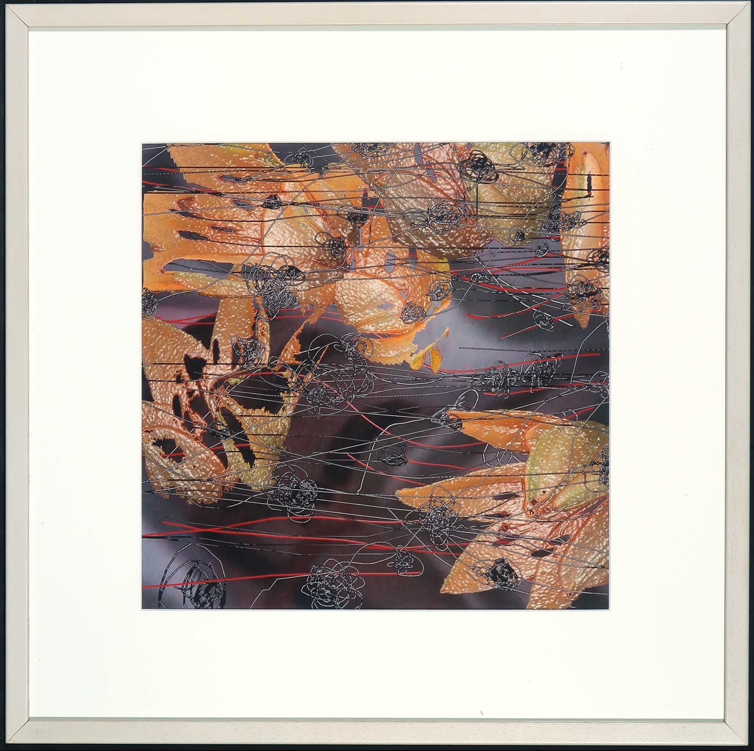 Reinoud van Vught - Foto, Herbarium - Ingelijst verkocht voor € 70!