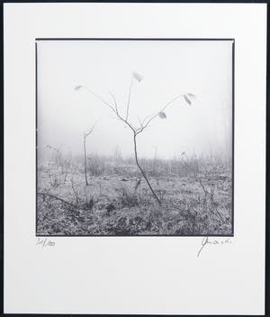 Ralph Janowski - Mooie zwart/wit print, Takken kopen? Bied vanaf 1!