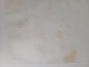 Ru van Rossem - Metamorfose - gesigneerde reliëf ets kopen? Bied vanaf 100!