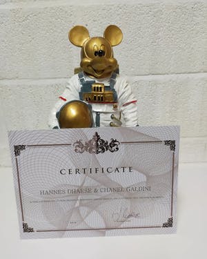 Hannes D'Haese - Mickey Mouse in space kopen? Bied vanaf 100!