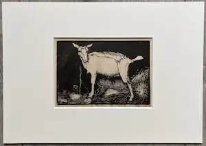 Jan Mankes - Originele Heliogravure Geit 1923 kopen? Bied vanaf 125!