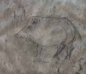 Hanny Ramaer - Wildzwijn - gesigneerde ets kopen? Bied vanaf 50!