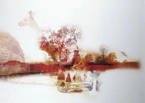 Kim Heesakkers - Foto, Australia - Ingelijst (Groot) kopen? Bied vanaf 50!