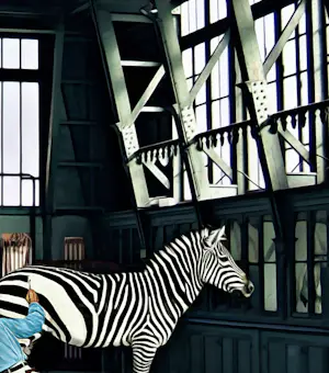 Mr. Strange - Les Zèbres kopen? Bied vanaf 85!