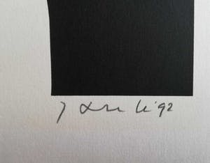 Jan Snoeck - THE BENEFIT OF THE DOUBT / KLEURZEEFDRUK / 56x45cm / SIG / 1992 kopen? Bied vanaf 25!