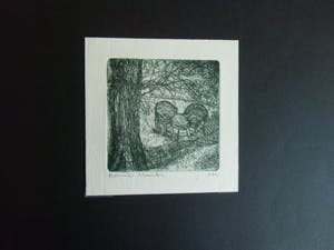 Ronnie Meerts - GELEGENHEIDSGRAFIEK kopen? Bied vanaf 1!