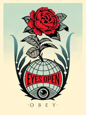Shepard Fairey - Obey lithografie 61x91cm gesigneerd kopen? Bied vanaf 5!