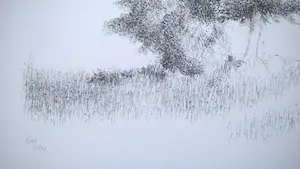 Metten Koornstra - gesigneerde litho - prent 190 kopen? Bied vanaf 49!