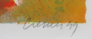 Jan Cremer - Litho, Tulips - Ingelijst (Groot) kopen? Bied vanaf 1!