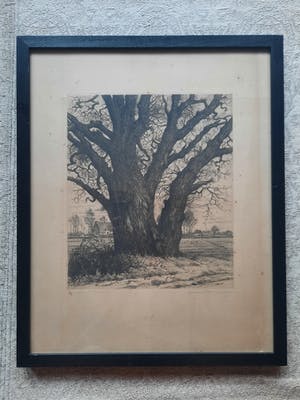 Willem van Nieuwenhoven - Kruisboom te Heese kopen? Bied vanaf 1!