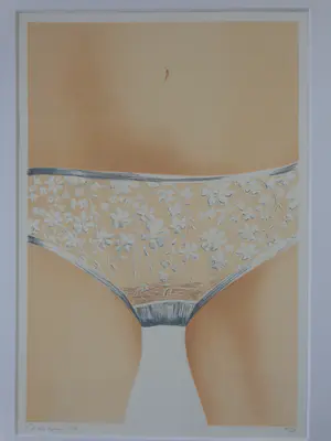 Max Selen - ONDERBROEKJE / KLEURLITHO / 70x53cm / KADER / SIG / 1976 kopen? Bied vanaf 30!