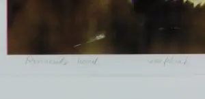 Patrick Bergsma - Zeefdruk op papier, Rennende hond - Ingelijst kopen? Bied vanaf 80!