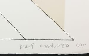 Pat Andrea - Litho, Zomeravondtraining kopen? Bied vanaf 1!