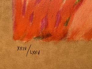 Claudia Steine - Lady in Red I kopen? Bied vanaf 20!