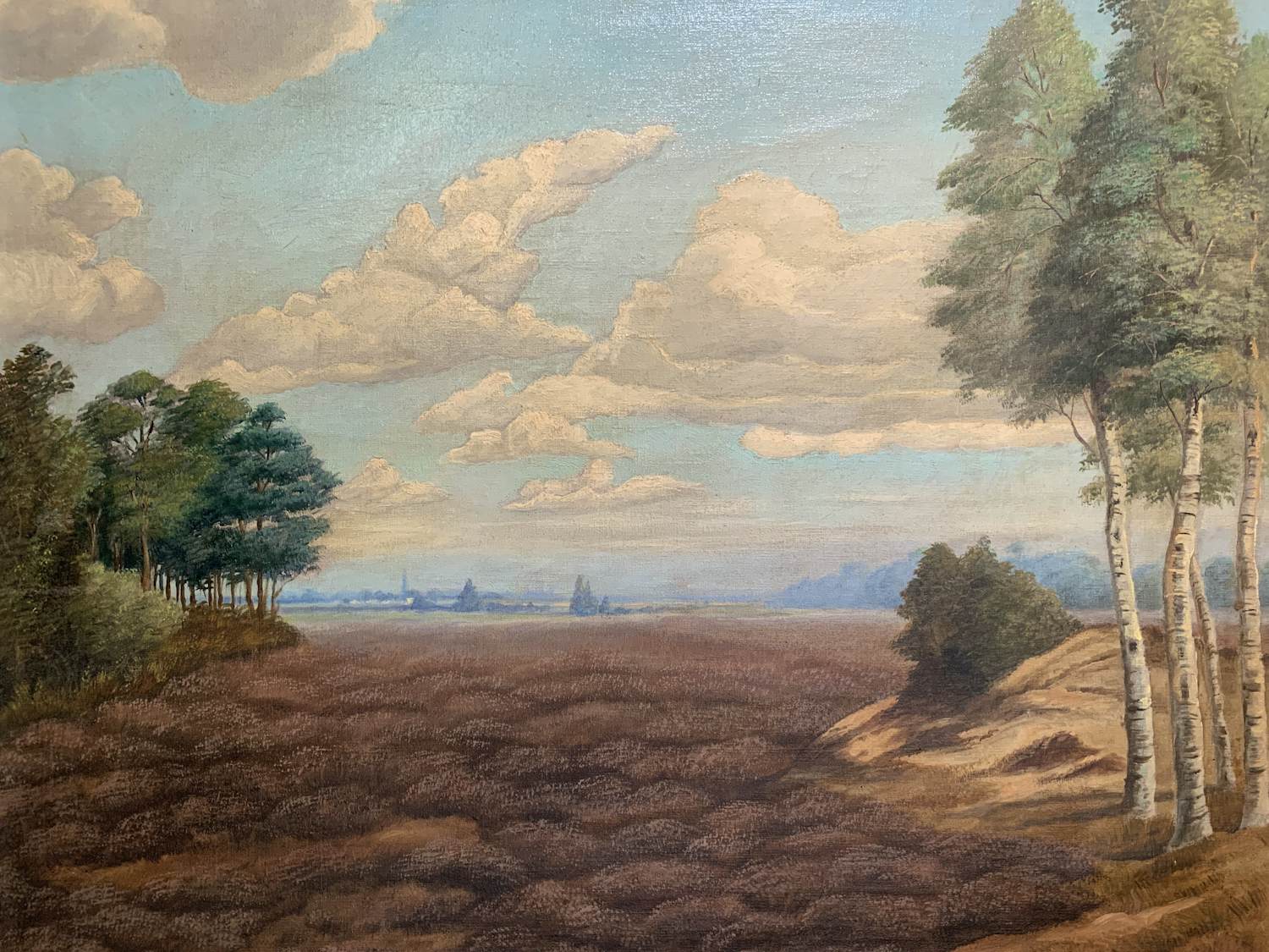 Sam Schellink - Landschap kopen? Bied vanaf 100!