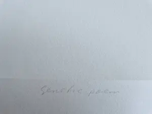 Sigurdur Gudmundsson - Grote Artist Proof (oplage slechts 12 ex) Lithografie "genetic Poem" potloodges. kopen? Bied vanaf 85!