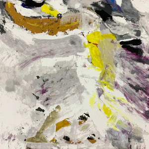 Nico Molenkamp - Vogel kopen? Bied vanaf 38!