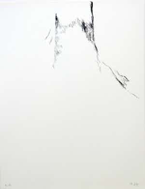 Armando - Der Baum verkocht voor € 1!