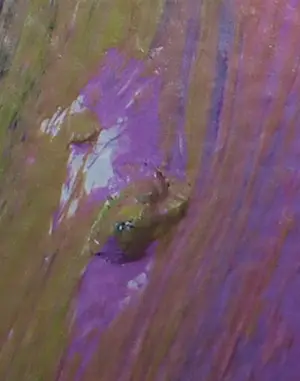 Cobi Nieuwstad - Acryl op doek, Onderzoek III kopen? Bied vanaf 60!