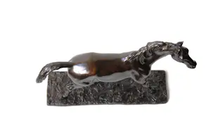 Irénée Rochard - Paard in draf kopen? Bied vanaf 2000!