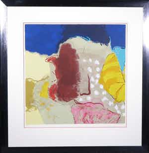 Henk van Vessem - Zeefdruk, Landschappelijke ervaring - Ingelijst verkocht voor € 35!