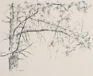Ery Brusse - Pentekening, Boom kopen? Bied vanaf 1!