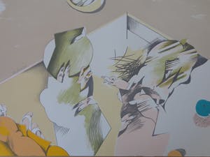 Pierre van Soest - FIGURATIE / KLEURLITHO / 51x65cm / SIG / 1978 kopen? Bied vanaf 21!