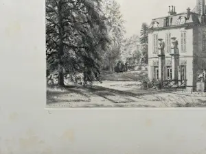 AcheterMichel Ciry - L'erable? Enchérissez de 20!