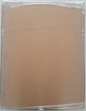 Anton Rooskens - Birds 3 (zeefdruk met beperkte oplage en nieuw ingelijst) kopen? Bied vanaf 365!