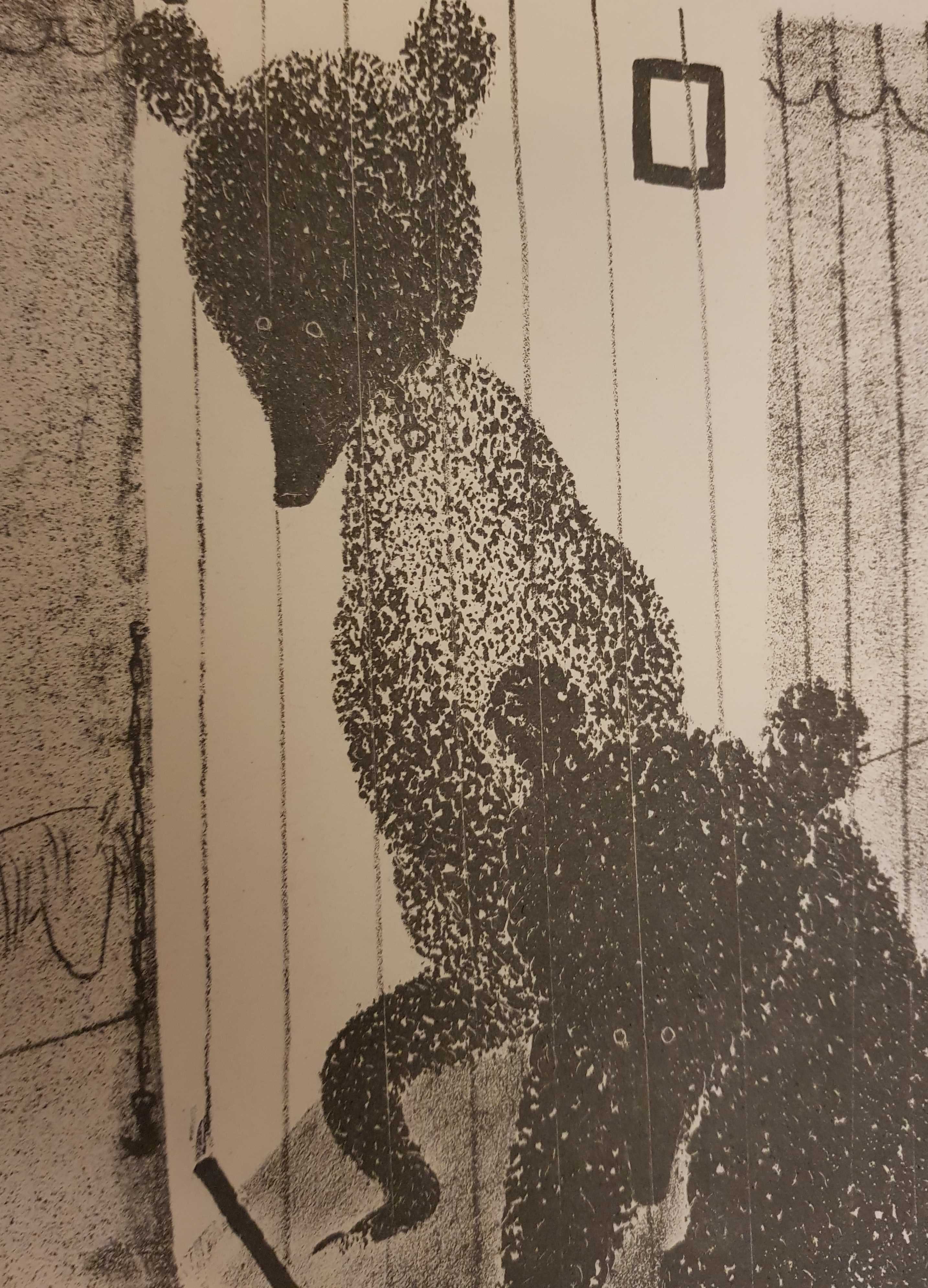 Kees Timmer - 'Berenkooi circus’, litho, 1947 kopen? Bied vanaf 99!