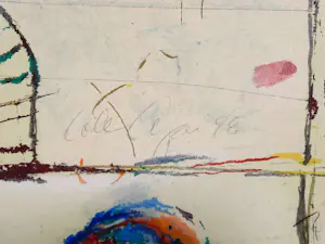 Cole Morgan - Zeefdruk - Seals II - HC8/20 - INGELIJST - 1998 - 25817 kopen? Bied vanaf 185!