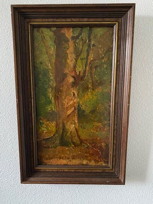 George Pletser - de boom kopen? Bied vanaf 1!