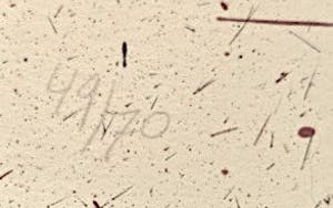 Rik van Iersel - Storyteller III - Litho - Nieuwstaat kopen? Bied vanaf 1!