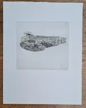 Charles Donker - Nachtzwaluw- handgesigneerde ets kopen? Bied vanaf 295!