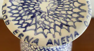 Erna Anema - Handbeschilderde blauw witte aardewerken vaas - Stadsspelen 2006 kopen? Bied vanaf 95!