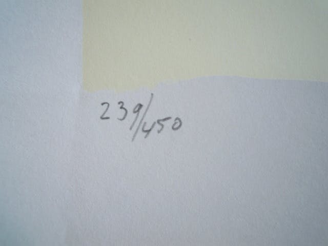 Rien Beringer - Prachtige zeefdruk in mooie staat. kopen? Bied vanaf 1!