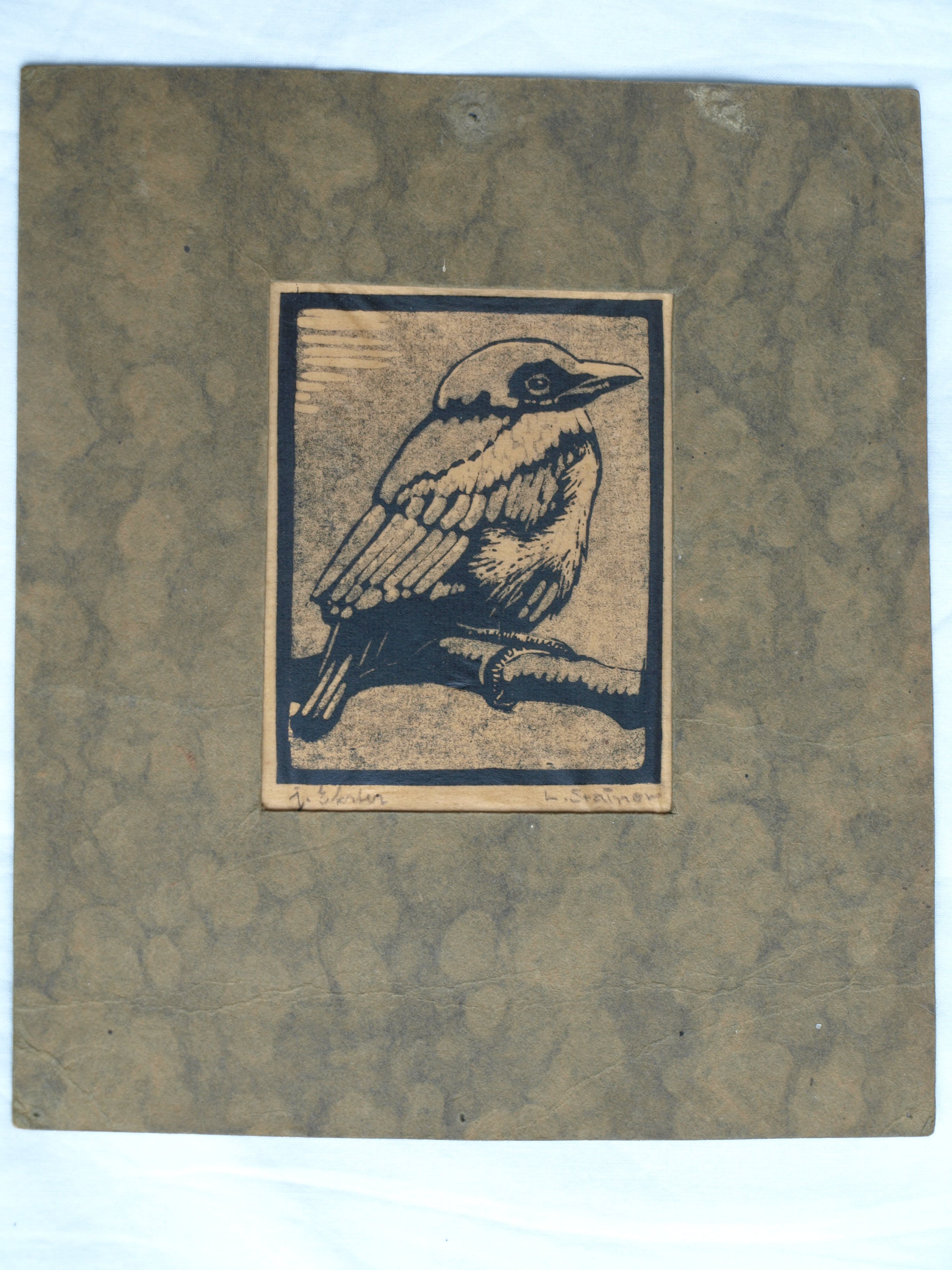 Ludwig Stainer - Ets , Jonge ekster – Gesigneerd – ca 1935 kopen? Bied vanaf 1!