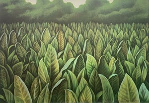 Jean Paul Vroom - kleurenlitho - 'Mei-vallei Praslin' - 1986 kopen? Bied vanaf 100!