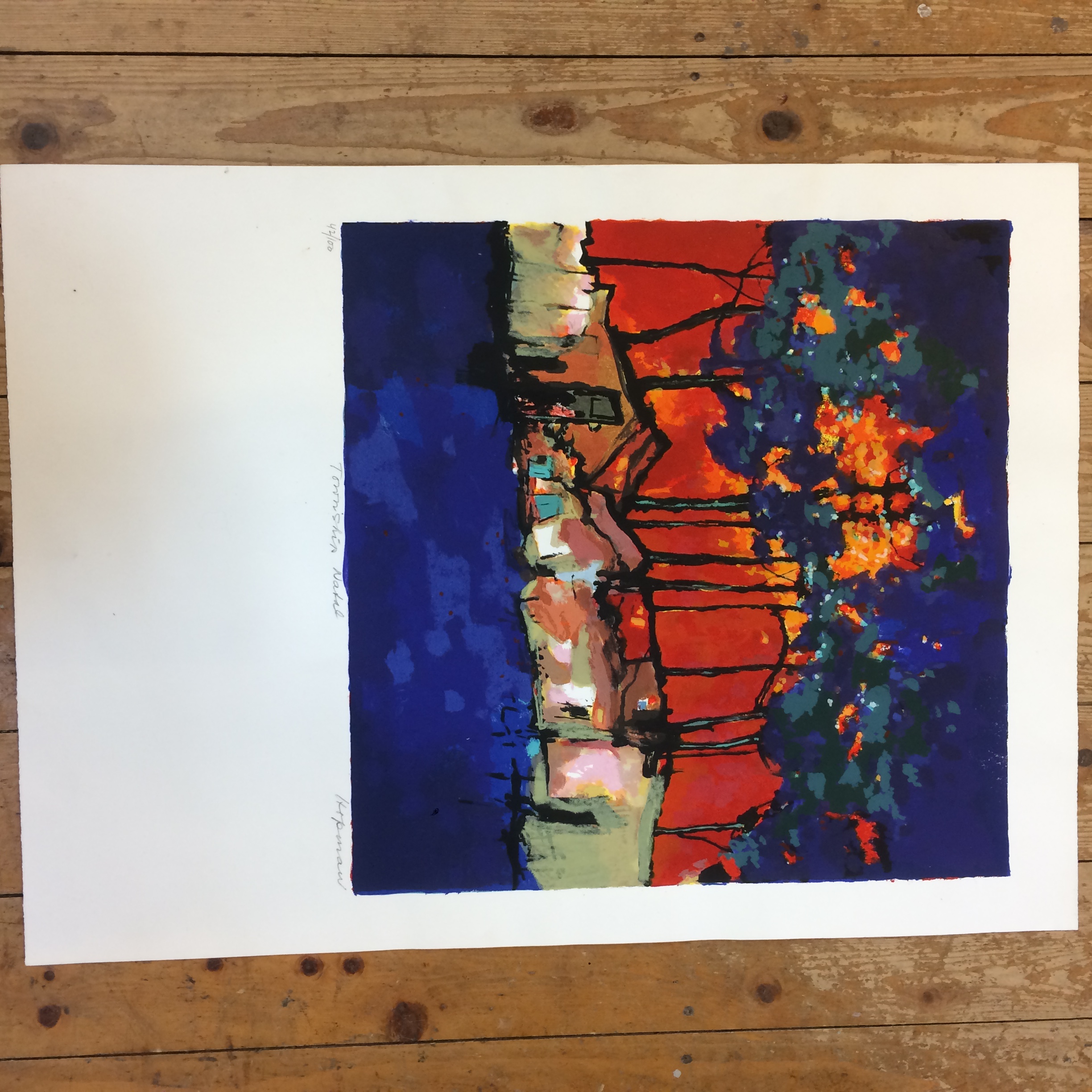 Machiel Hopman - Township Natal kopen? Bied vanaf 65!